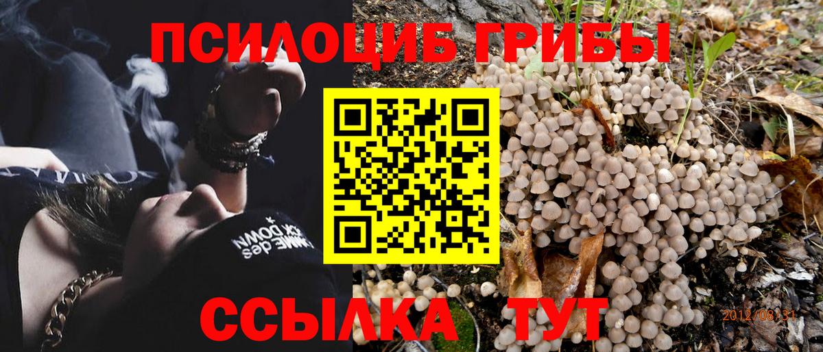 Псилоцибиновые грибы прущие грибы Донецк